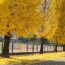 남하초등학교 이미지