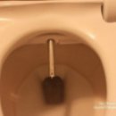 오토베스트