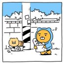 2024-주213 이미지