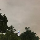 용산도서관 이미지