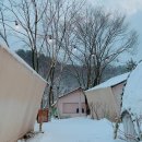 당일치기 글램핑 추천! 서울 근교 힐링스팟 뚜벅이 커플 가족 청계산골든밸리캠핑장