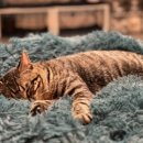 인피아노학원 이미지