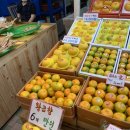 귤림청과