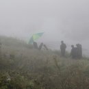 구룡천1 이미지