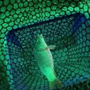 눈큰실내낚시터 이미지