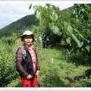 상평마을 이미지