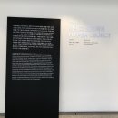 현대모터스 이미지