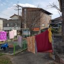 강원세탁 이미지