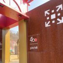 460 | 구미맛집 460정육식당 점심특선 후기