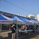 건강사랑안마사랑 이미지