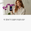 의암스카이워크 간이쉼터 | 2025 서천 장항 맥문동 꽃 축제 평일 방문 후기와 꿀정보 정리