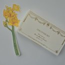 그린허브한약건재 | 더현대서울 산타마리아노벨라 프리지아 팝업 피렌체1221디스커버리 8종 세트 시향후기