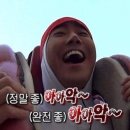 광희동물병원 | 경주여행