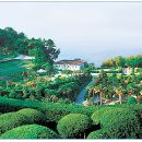 외도주유소 이미지