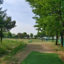 파크골프공원 파크골프장 이미지