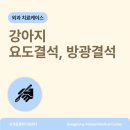 송정동물메디컬센터