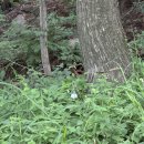 당리 할아버지 이미지