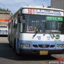 [부산] 영신여객 161번 BS090 ROYAL MIDI CNG 이미지