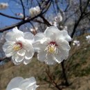 인화민박 이미지