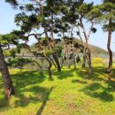 솔밭매점 - 충주시 첨단산업로 1438 | 솔밭매점
