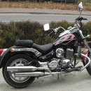 데이스타 이미지