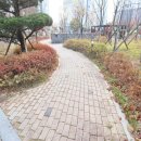 퍼스트빌부동산중개 이미지