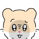 세라헤어라인 이미지