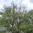 상평현서분교 이미지