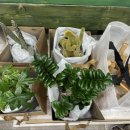 주식회사 거양 이미지