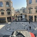 바나나 반려견 미용실 이미지