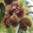 월하초당 이미지