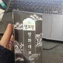 목  향 | 환절기 목 관리엔 역시 영묘향 쌍화탕! 쌍화차 재료 걱정 없는 한방차 후기