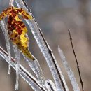 내일 강원은 영하권 추위…낮 최고기온 14~20도 이미지