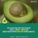 아보카도 이미지