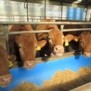 행복농장 6 이미지