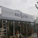 위스플라워