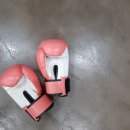 H 복싱짐 이미지