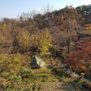 오서산자연휴양림 이미지