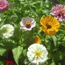 삼학도 이난영공원 입구 이미지