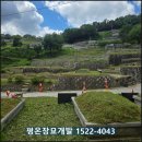 정부인 강씨 묘역 및 석물 | 포천벌초대행 300기 현장후기, 무더위 속 벌초와의 전쟁