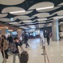늘봄조경공사 | 5.2월~5.5목 제주도 가족여행