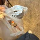 (주)대웅생명과학서울지점 | 언제 어디든 유영할 수 있게