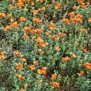 상동주민센터 이미지