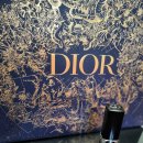 343 | 김연아 웨딩 립스틱 | 루즈디올 343 파나레아 발색 후기