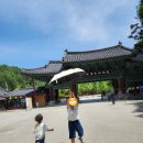 직지문화공원화장실 | 김천 직지사 부처님오신날 후기｜무료 절밥 비빔밥·직지문화공원 산책