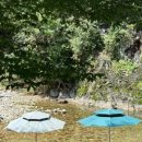 라임벨리 이미지