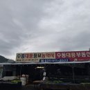 대풍종묘농약 네이버블로그