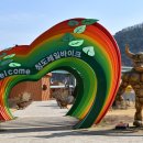 청도힐링오토캠핑장 이미지