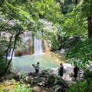 데미샘자연휴양림 이미지