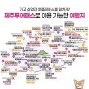 제주차이나투어 이미지